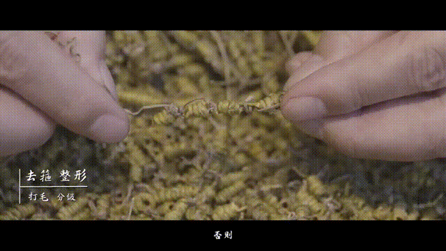 霍山石斛网