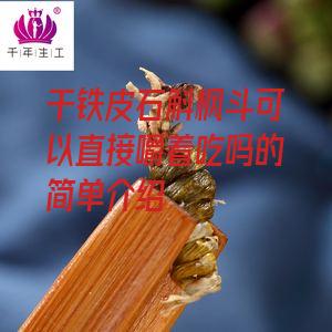 干铁皮石斛枫斗可以直接嚼着吃吗的简单介绍